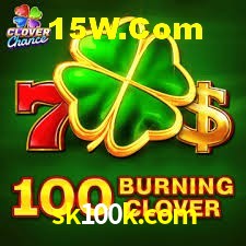 Bonus Features sk100k.com